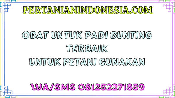 Obat Untuk Padi Bunting Terbaik Untuk Petani Gunakan
